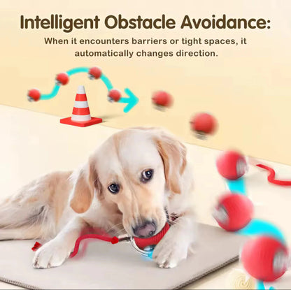 ✨HOT SALE 70% OFF✨🎄50K+；Cat&Dog toy ball cat&dog toy electric moving ball toy